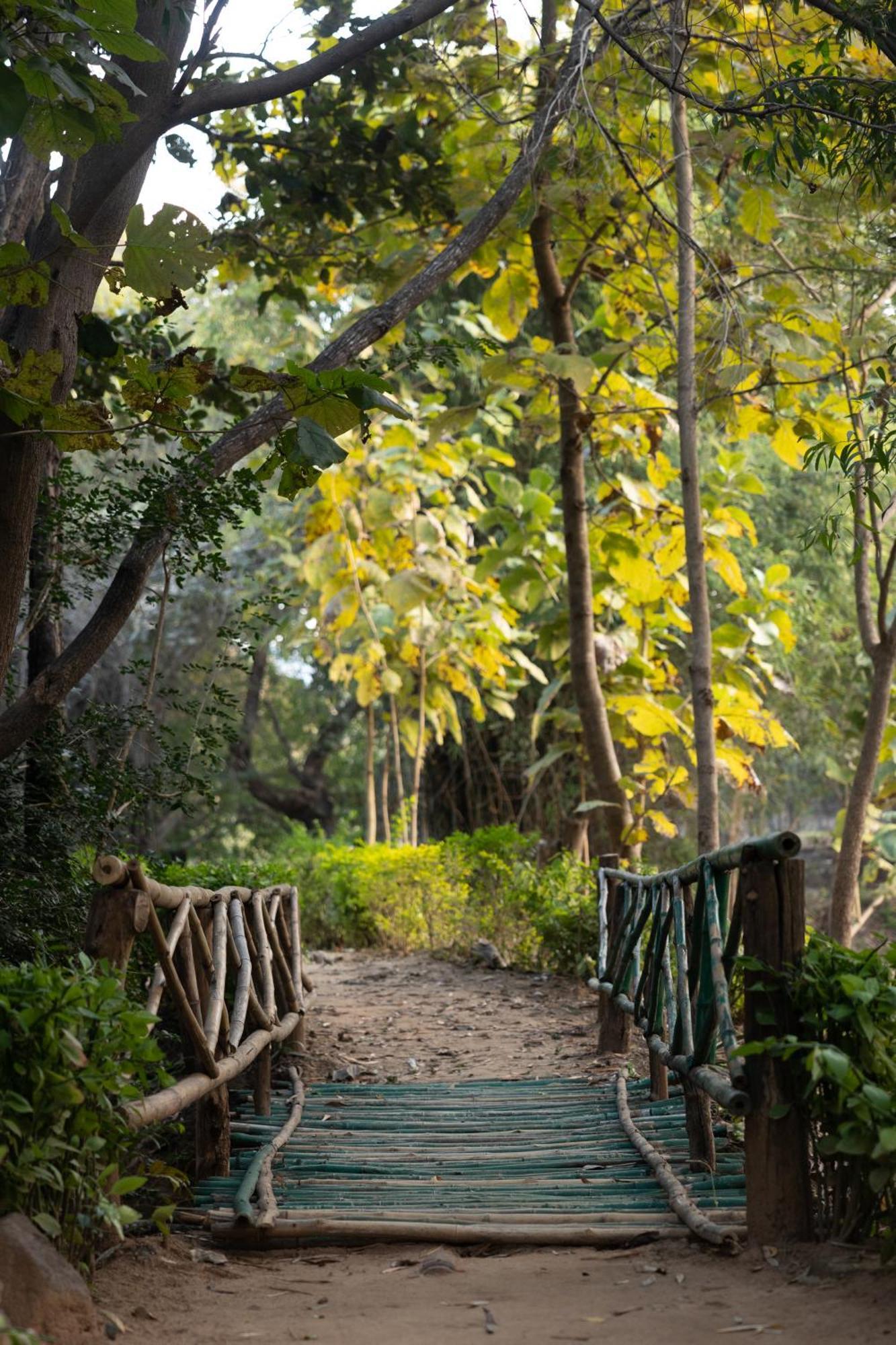 Tiger Trails Resort Tāla Extérieur photo