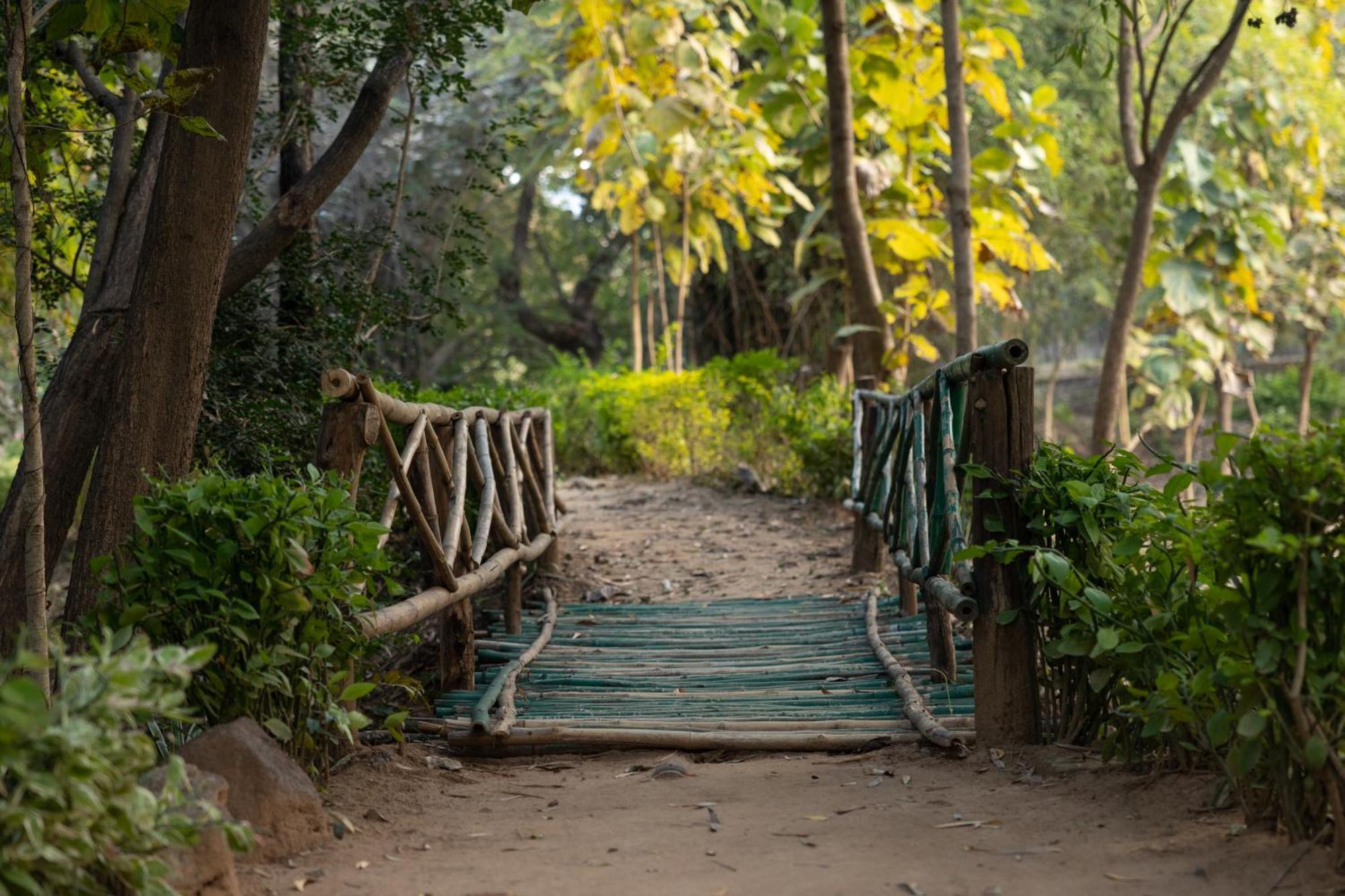 Tiger Trails Resort Tāla Extérieur photo